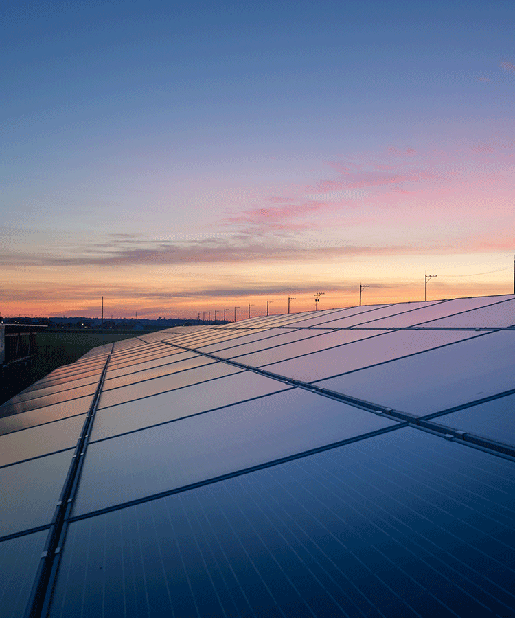 �õ��������