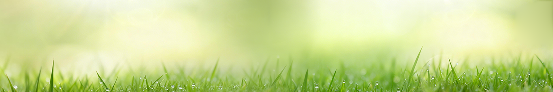 ��һ������