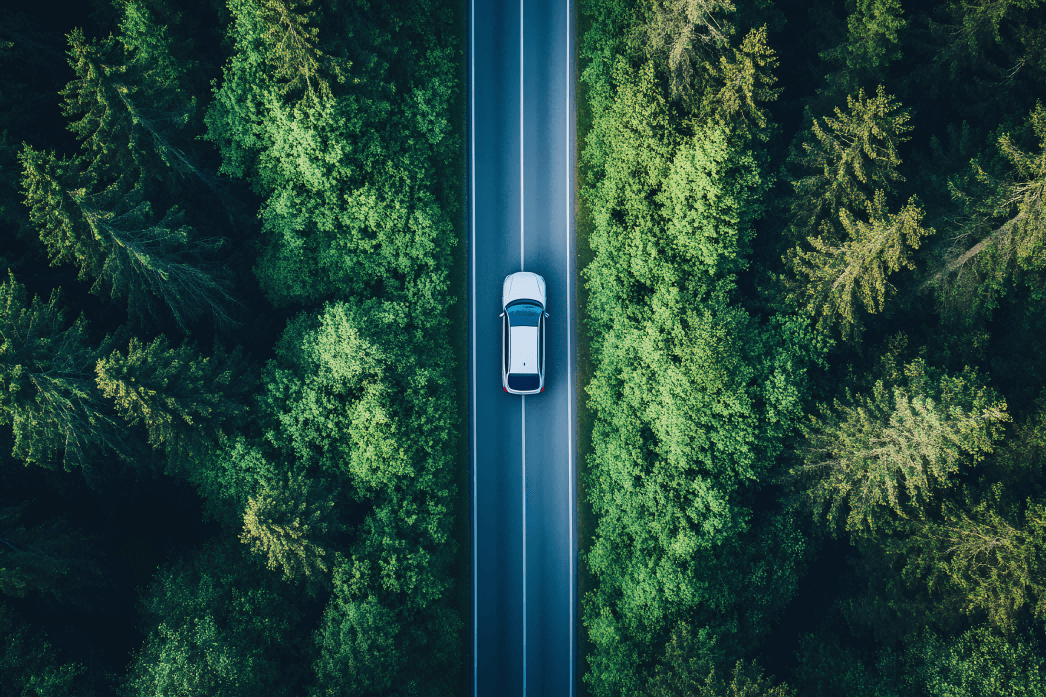 �ŵ�88(�й���)�ٷ���վ